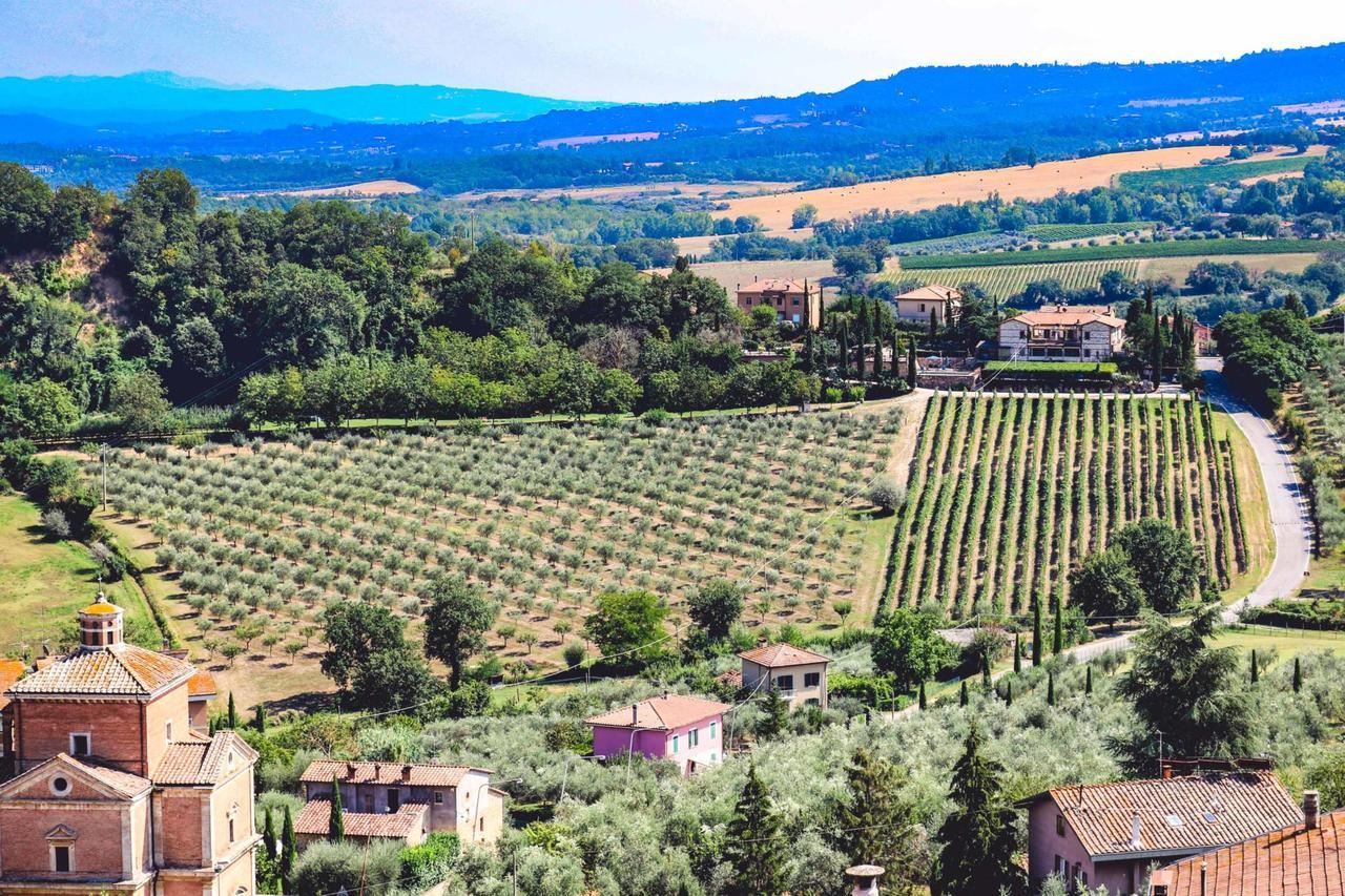 Agriturismo La Pietriccia Chianciano Terme Extérieur photo